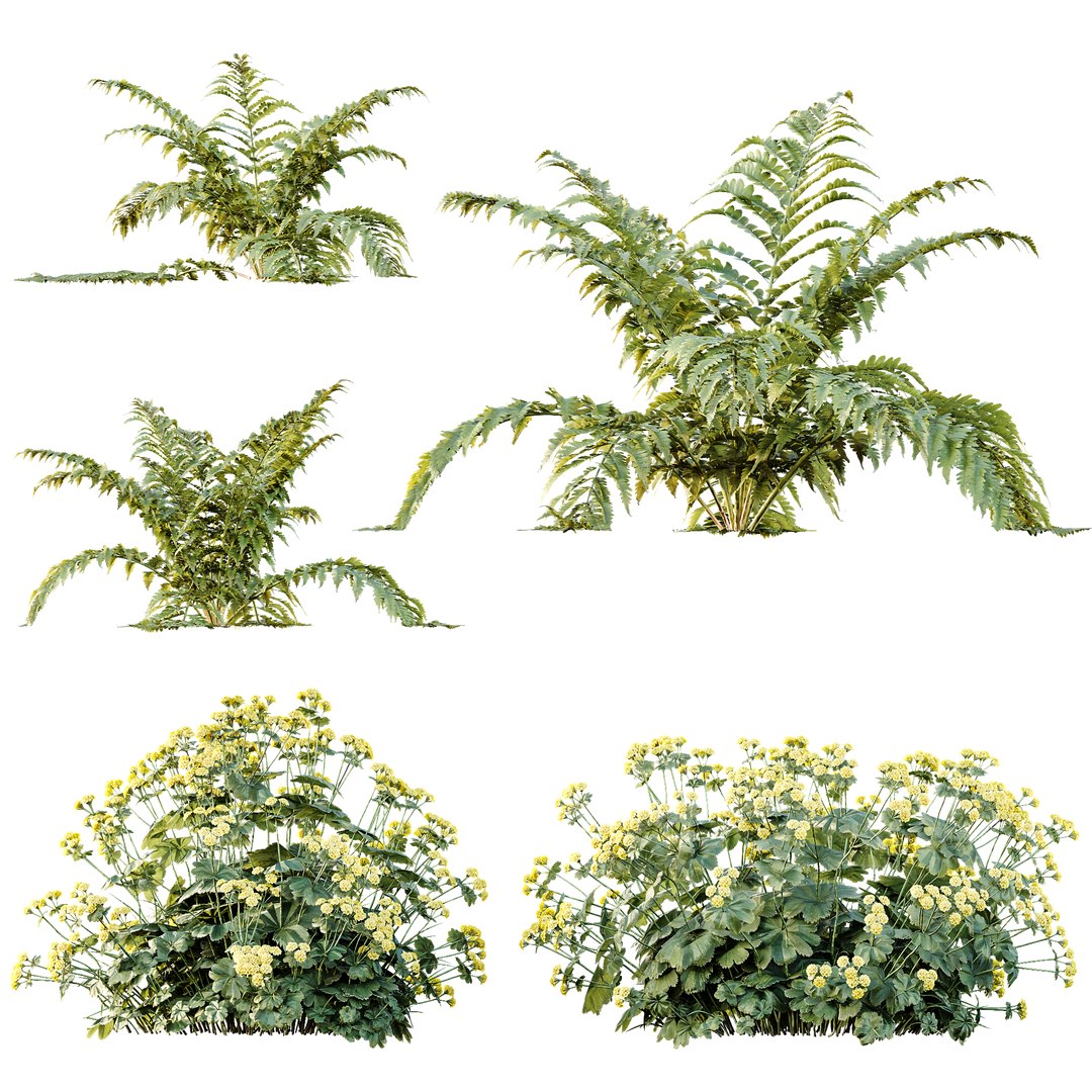 3D AV 14 Different sets of spring and summer shrubs https://p.turbosquid.com/ts-thumb/1p/aKZfd2/Jn/i/png/1753173575/1920x1080/fit_q87/7d3777ab06dc49699ea2a076b4a1aad10b95cab0/i.jpg