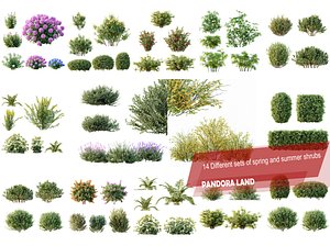 3D AV 14 Different sets of spring and summer shrubs