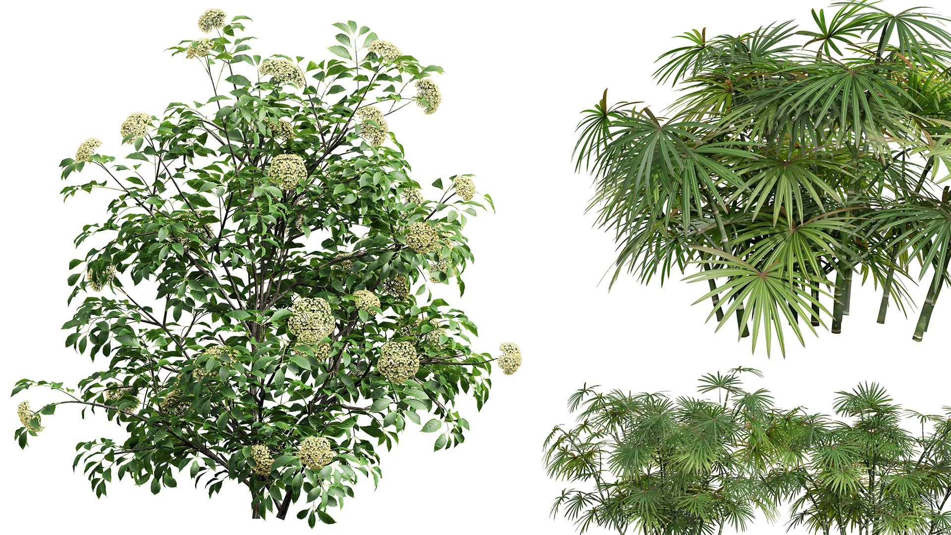3D AV 14 Different sets of spring and summer shrubs https://p.turbosquid.com/ts-thumb/1p/aKZfd2/Mu/02/png/1752121839/1920x1080/fit_q87/478023acd08808e85e0167cfc26ff7e97601b225/02.jpg
