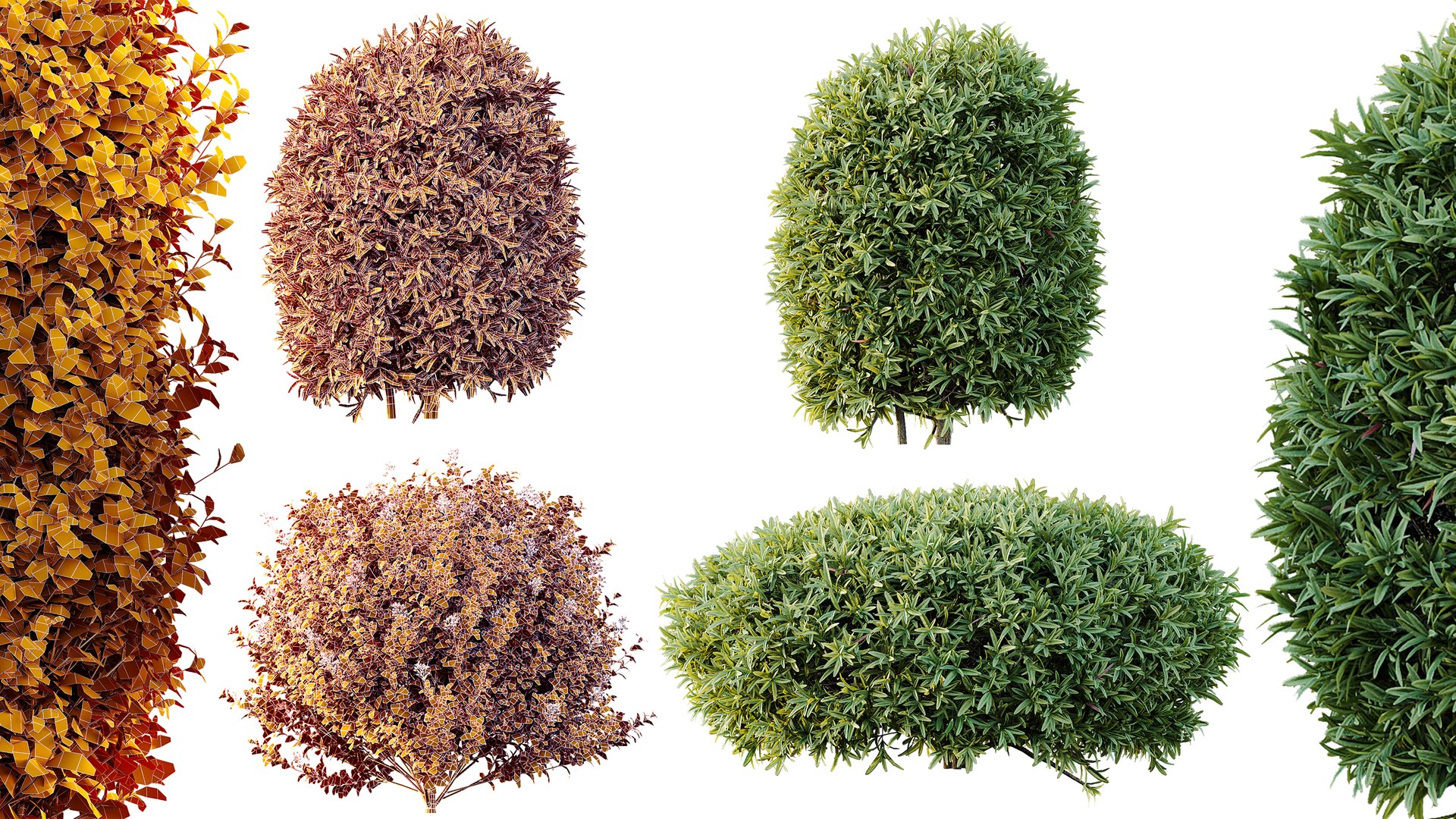 3D AV 14 Different sets of spring and summer shrubs https://p.turbosquid.com/ts-thumb/1p/aKZfd2/Sw/07/png/1752733925/1920x1080/fit_q87/1401903c0720f03e0111579c9c443184ea817603/07.jpg