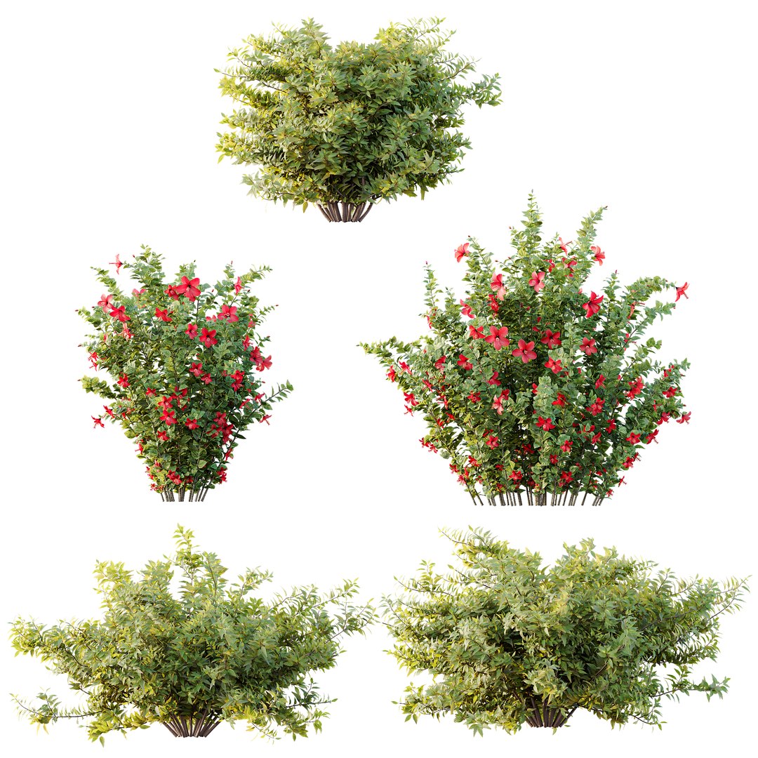 3D AV 14 Different sets of spring and summer shrubs https://p.turbosquid.com/ts-thumb/1p/aKZfd2/Vd/e/png/1753173572/1920x1080/fit_q87/69ad532435e739afe67e9dd9b5a18f668a83a9a8/e.jpg