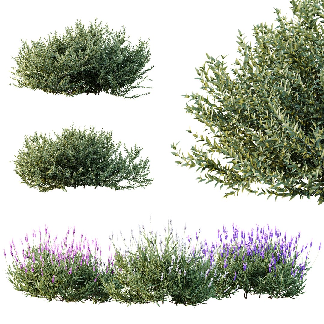 3D AV 14 Different sets of spring and summer shrubs https://p.turbosquid.com/ts-thumb/1p/aKZfd2/Vh/j/png/1753173576/1920x1080/fit_q87/b7bc74f990144022bad985d325ce5104a711f35c/j.jpg