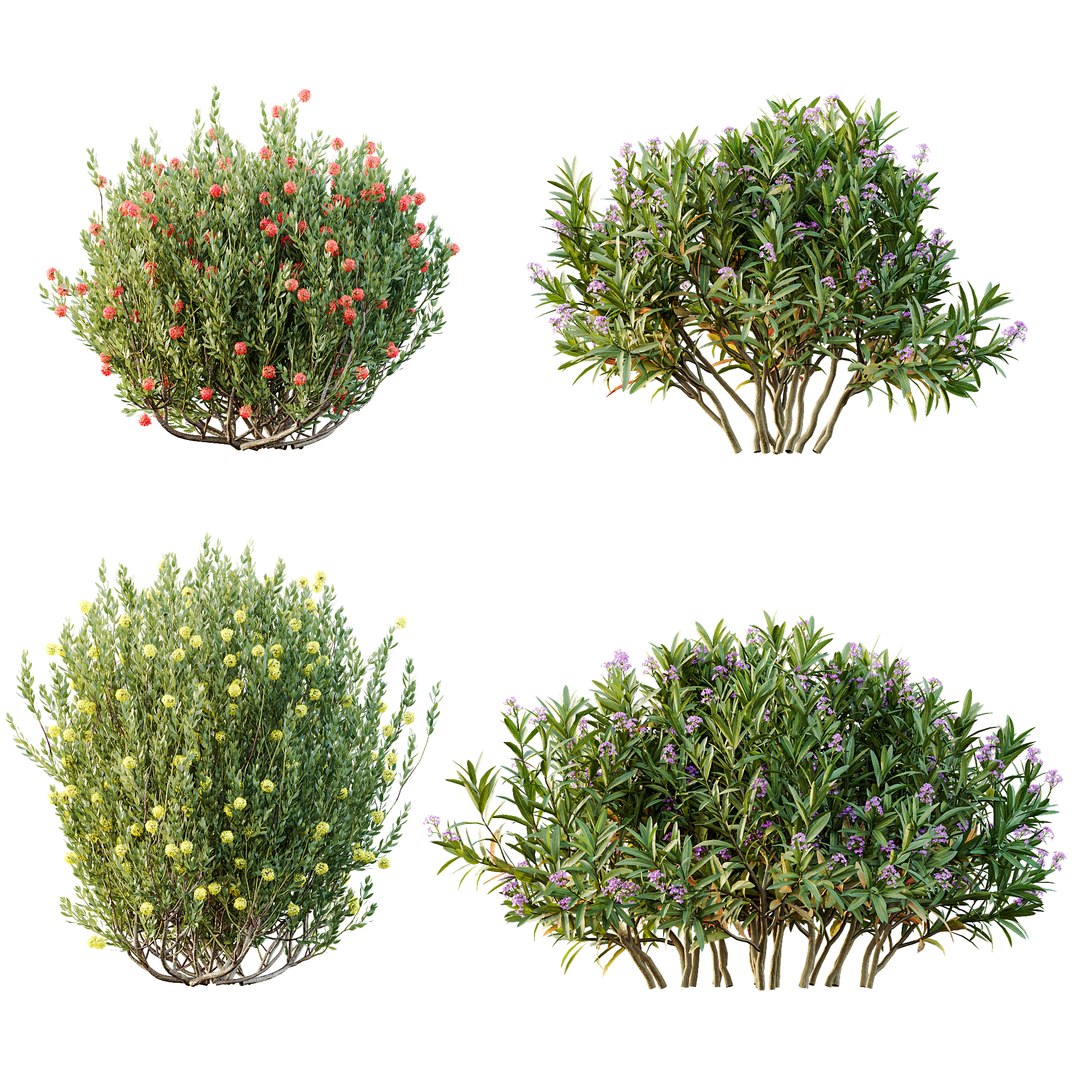 3D AV 14 Different sets of spring and summer shrubs https://p.turbosquid.com/ts-thumb/1p/aKZfd2/W1/k/png/1753173576/1920x1080/fit_q87/e9caea9b4b97a7f2a03cdef50ae709dc381b1434/k.jpg