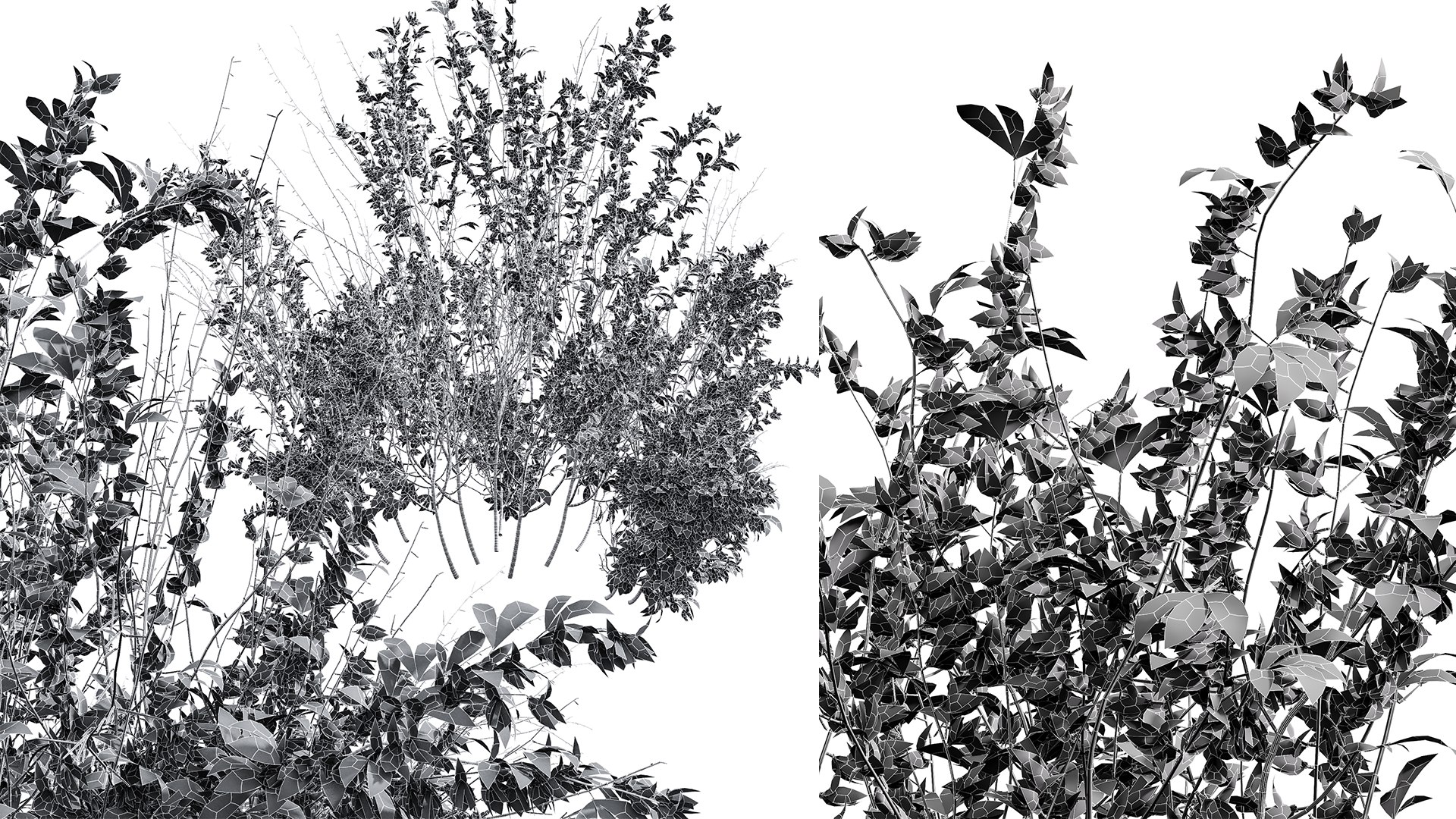 3D AV 14 Different sets of spring and summer shrubs https://p.turbosquid.com/ts-thumb/1p/aKZfd2/X7/07/png/1752123599/1920x1080/fit_q87/bcebfcbd76b925af52b154d563b20eeb52ea87c6/07.jpg