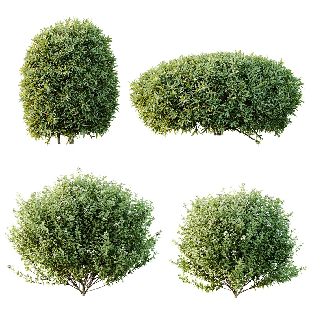 3D AV 14 Different sets of spring and summer shrubs https://p.turbosquid.com/ts-thumb/1p/aKZfd2/fT/n/png/1753173579/1920x1080/fit_q87/52f5c8d076f4fa226f86c918cee97ad433352297/n.jpg