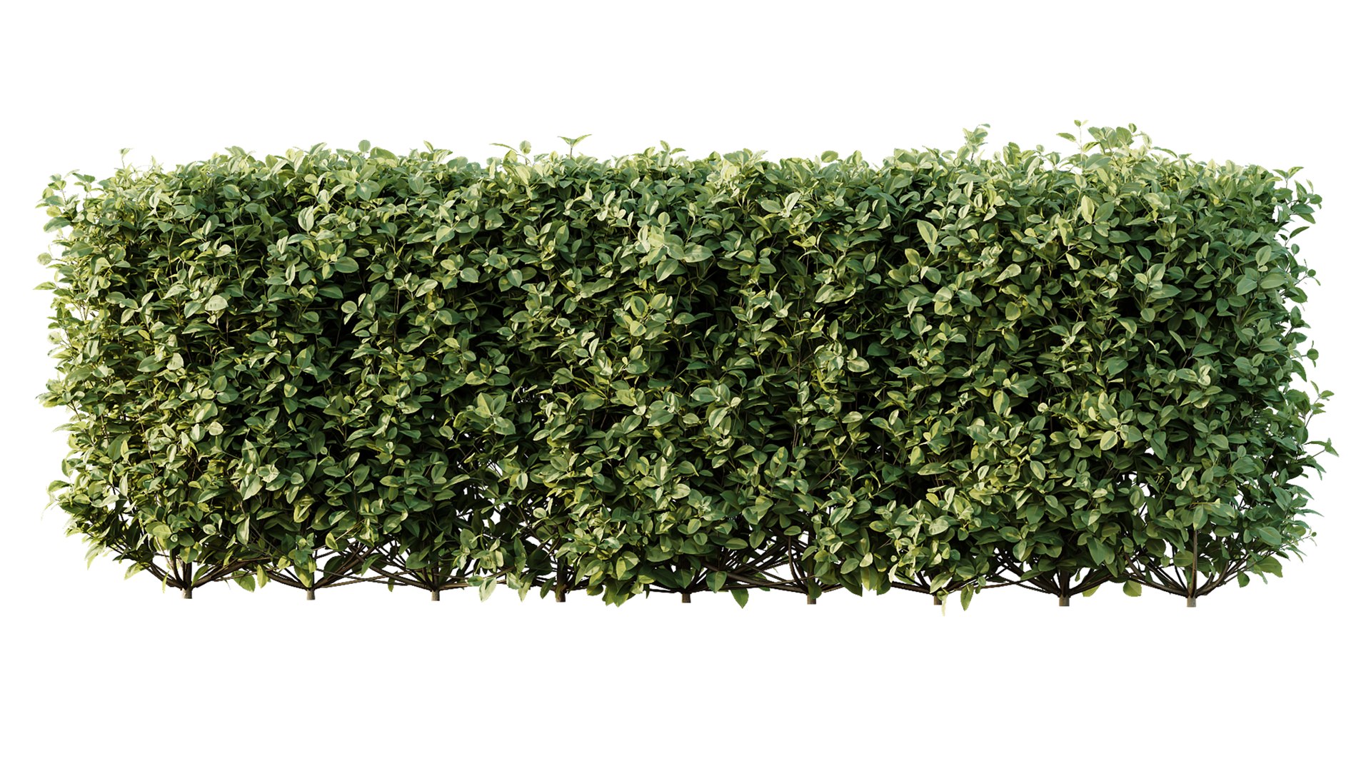 3D AV 14 Different sets of spring and summer shrubs https://p.turbosquid.com/ts-thumb/1p/aKZfd2/sJ/02/png/1752732203/1920x1080/fit_q87/b84ce7eb741fe15bcd7ab1a37abbcc4a1f8809f5/02.jpg