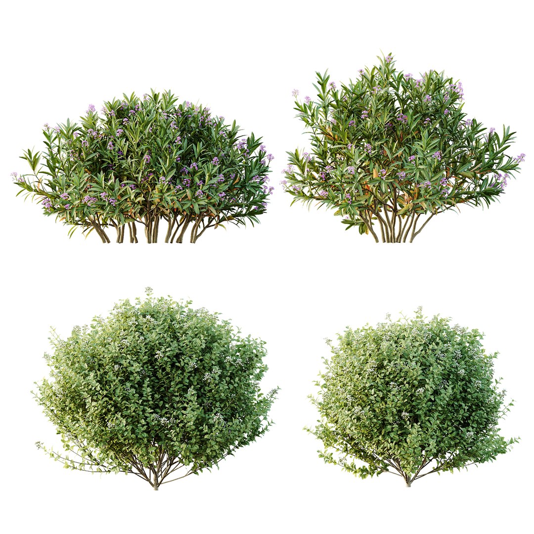 3D AV 14 Different sets of spring and summer shrubs https://p.turbosquid.com/ts-thumb/1p/aKZfd2/u8/c/png/1753173570/1920x1080/fit_q87/b48c3d0d2785bf0722cf25969bcd4cbf2f0a8cb5/c.jpg
