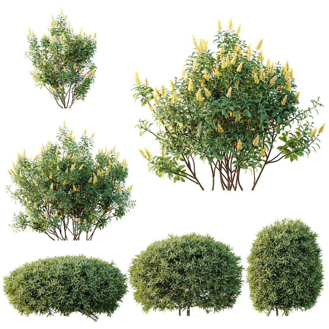 3D AV 14 Different sets of spring and summer shrubs https://p.turbosquid.com/ts-thumb/1p/aKZfd2/wC/d/png/1753173571/1920x1080/fit_q87/4fc073ec70f572b64ad1a5a8cbcee6e814efa196/d.jpg