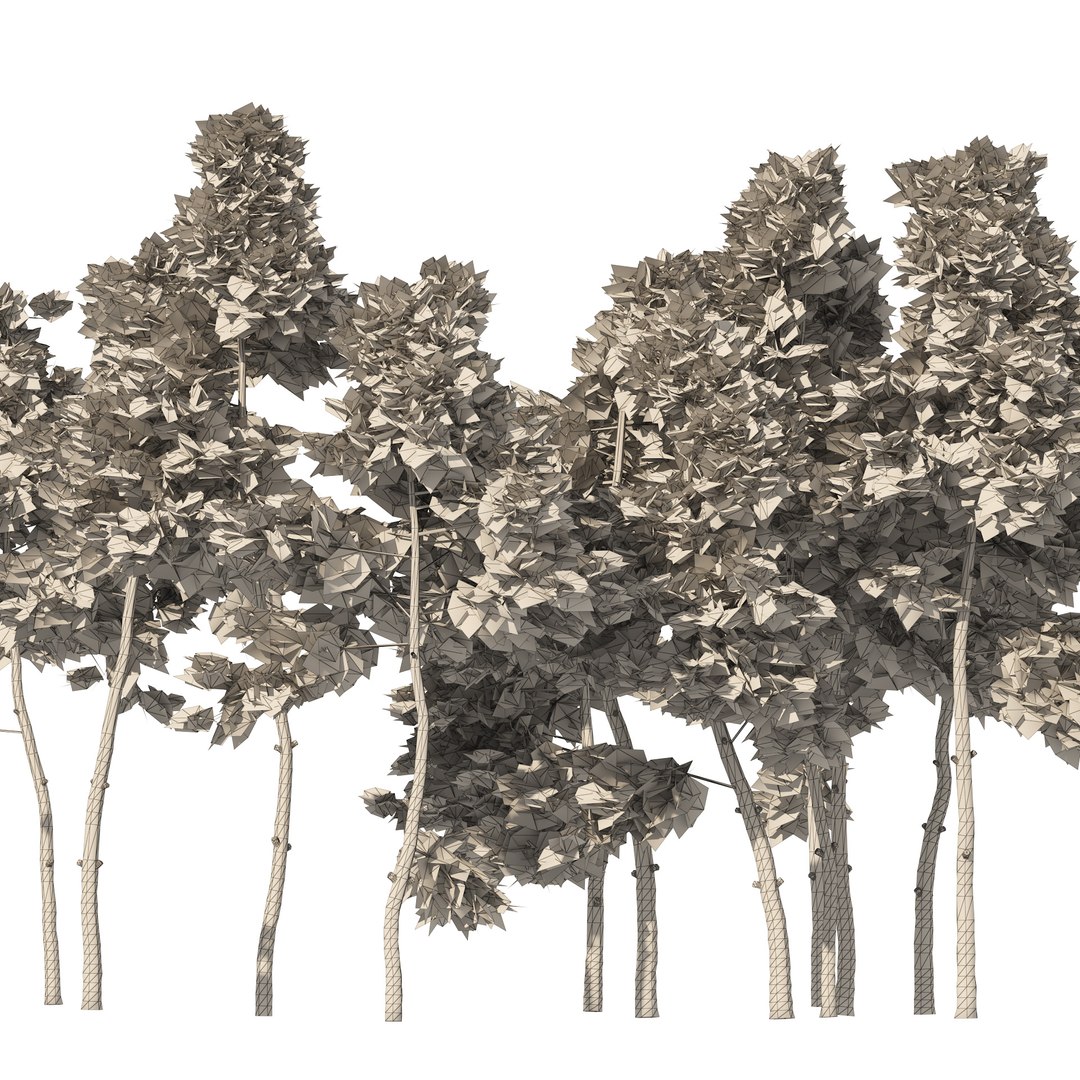 3D Scots pine tree forest https://p.turbosquid.com/ts-thumb/1p/zb2yIZ/O9/wire/jpg/1668290692/1920x1080/fit_q87/13cd512cde5100a2e5f4f53bfc151f859ec9e2eb/wire.jpg