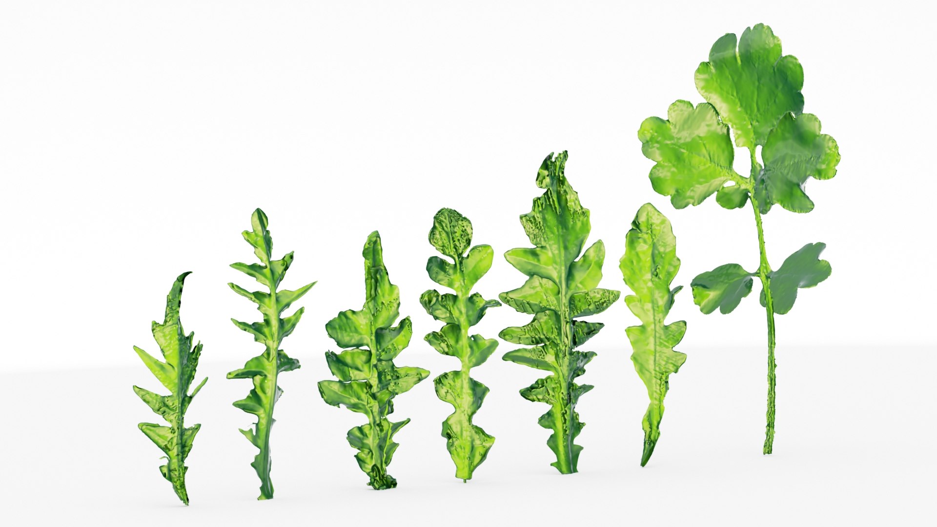 3D Foliage 3d scan free model https://p.turbosquid.com/ts-thumb/1q/2dtay5/Pu/005_foliage_0004/jpg/1743874367/1920x1080/fit_q87/76f220774b83b870bc69ffc9449b1320a42375c2/005_foliage_0004.jpg