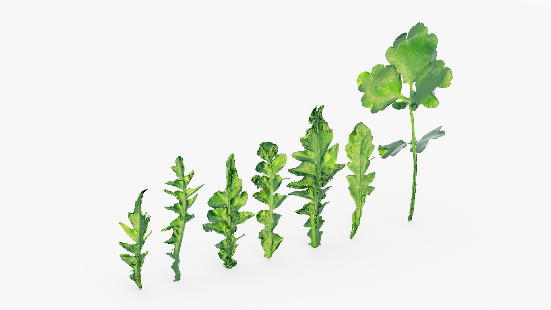 3D Foliage 3d scan free model https://p.turbosquid.com/ts-thumb/1q/2dtay5/pv/005_foliage_0003/jpg/1743874364/1920x1080/fit_q87/93aa356b3b5f82654eab44ac879eb279fc9a8cd2/005_foliage_0003.jpg