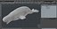 3D model Beluga Whale Adult