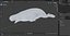 3D model Beluga Whale Adult