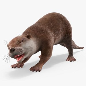 3D model Aquatic Otter Walking Animated Rigged