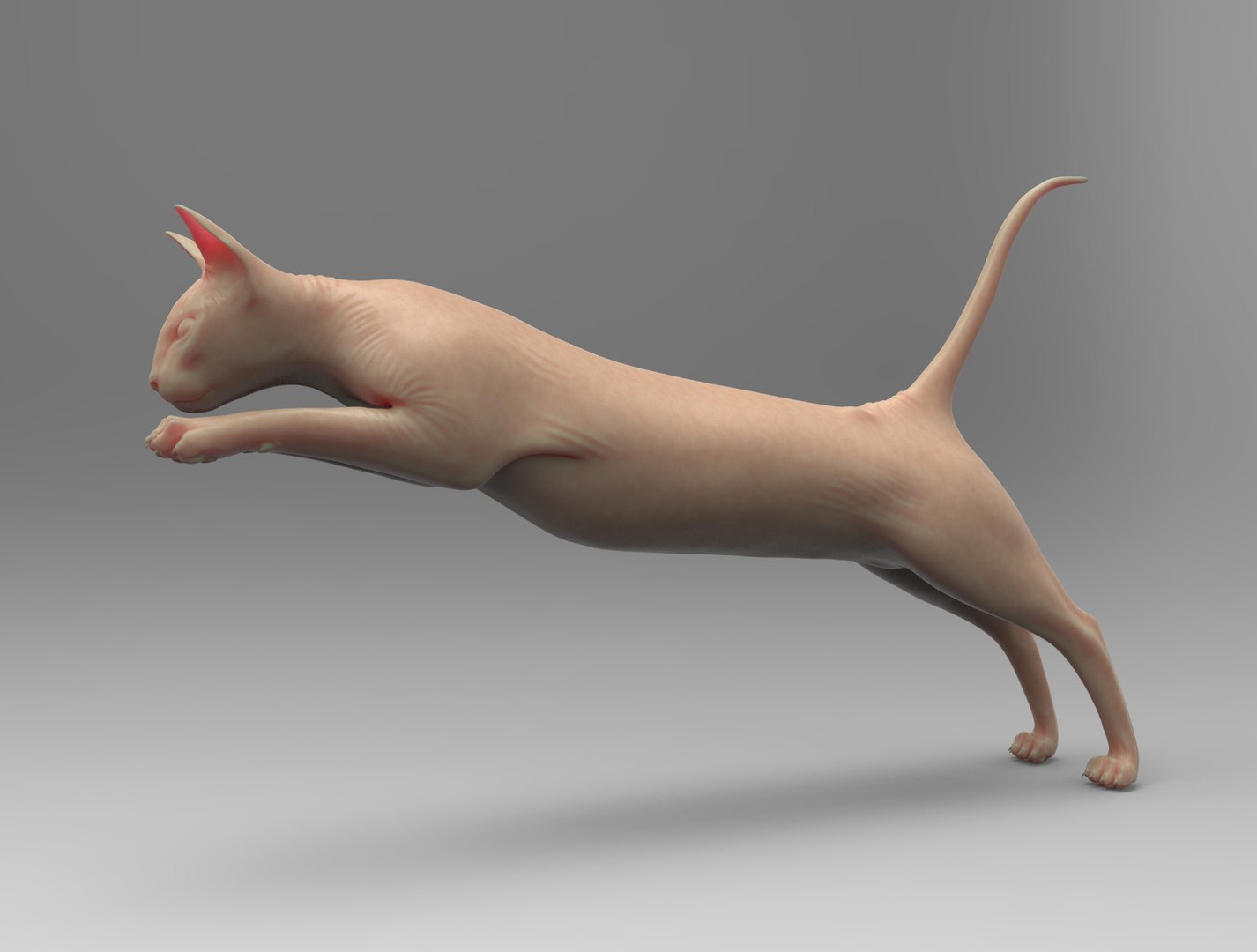 Sphinx Jump 3D - TurboSquid 1264592