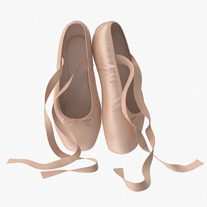 Ballet Shoes Resting