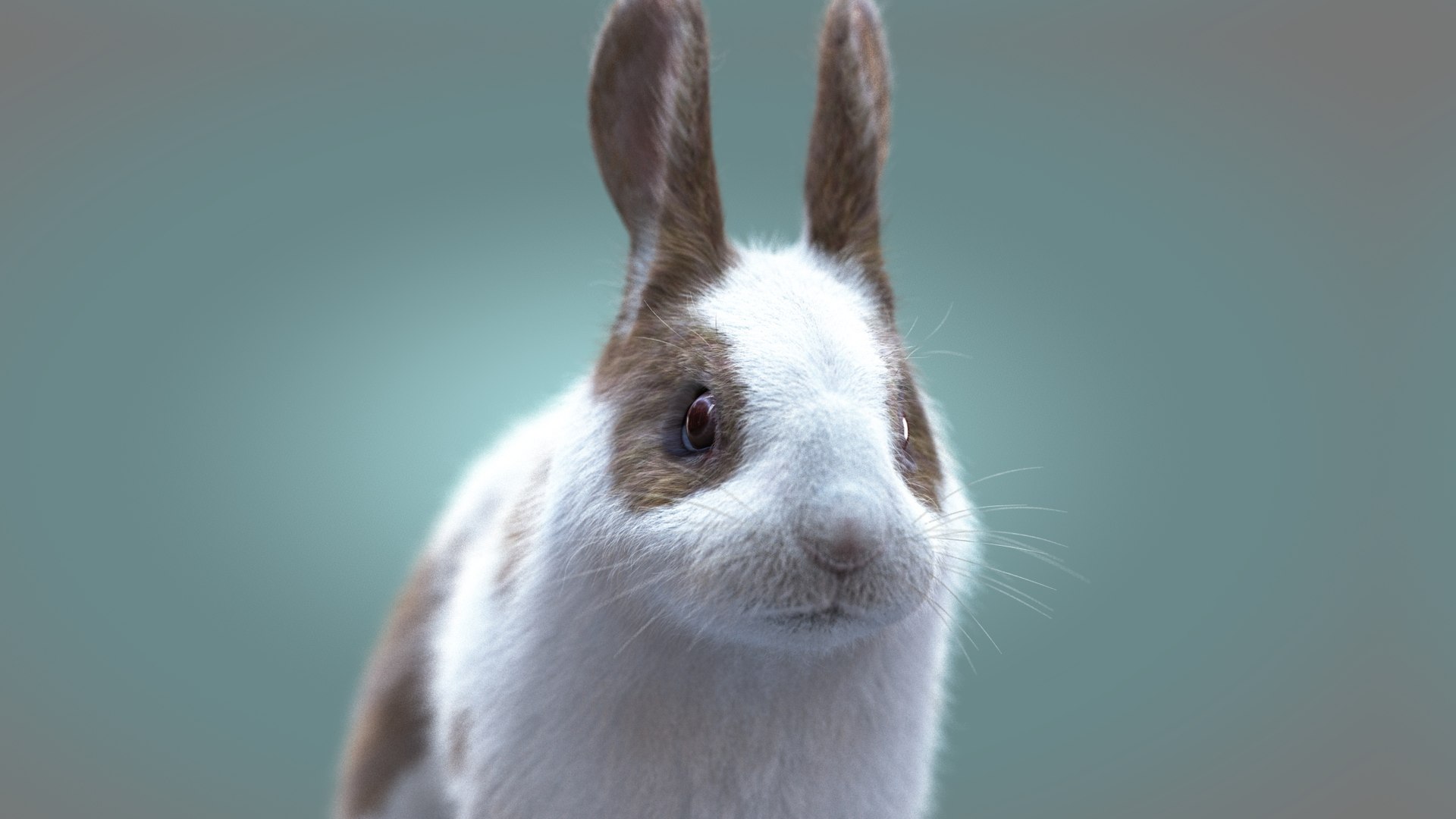 Rabbit Spotted RIG XGEN model - TurboSquid 2163512