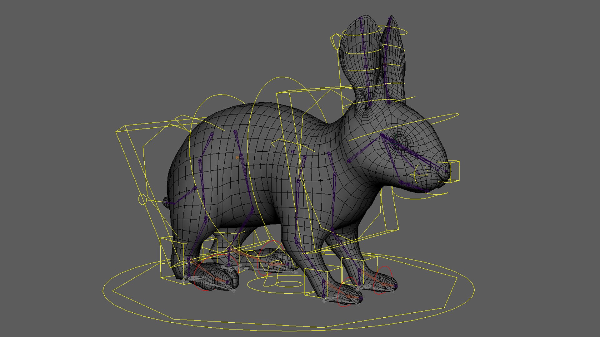 Rabbit Spotted RIG XGEN model - TurboSquid 2163512