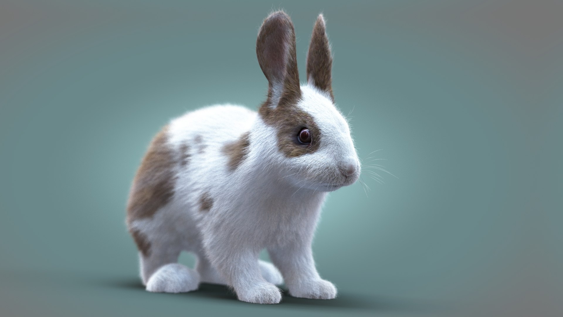 Rabbit Spotted RIG XGEN model - TurboSquid 2163512