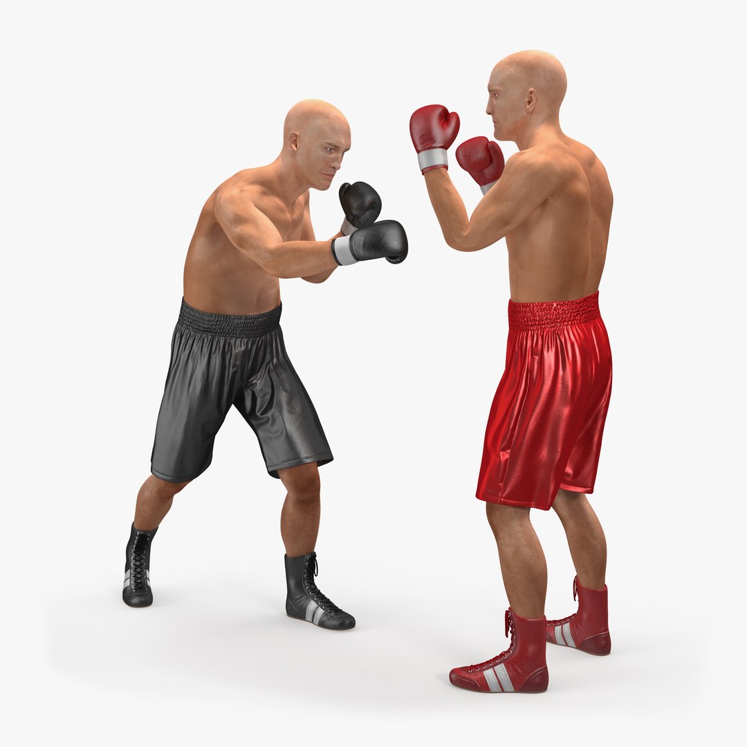 Two Boxers 3D Model 3D model preview