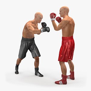 Two Boxers 3D Model
