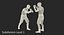 Two Boxers Modello 3D