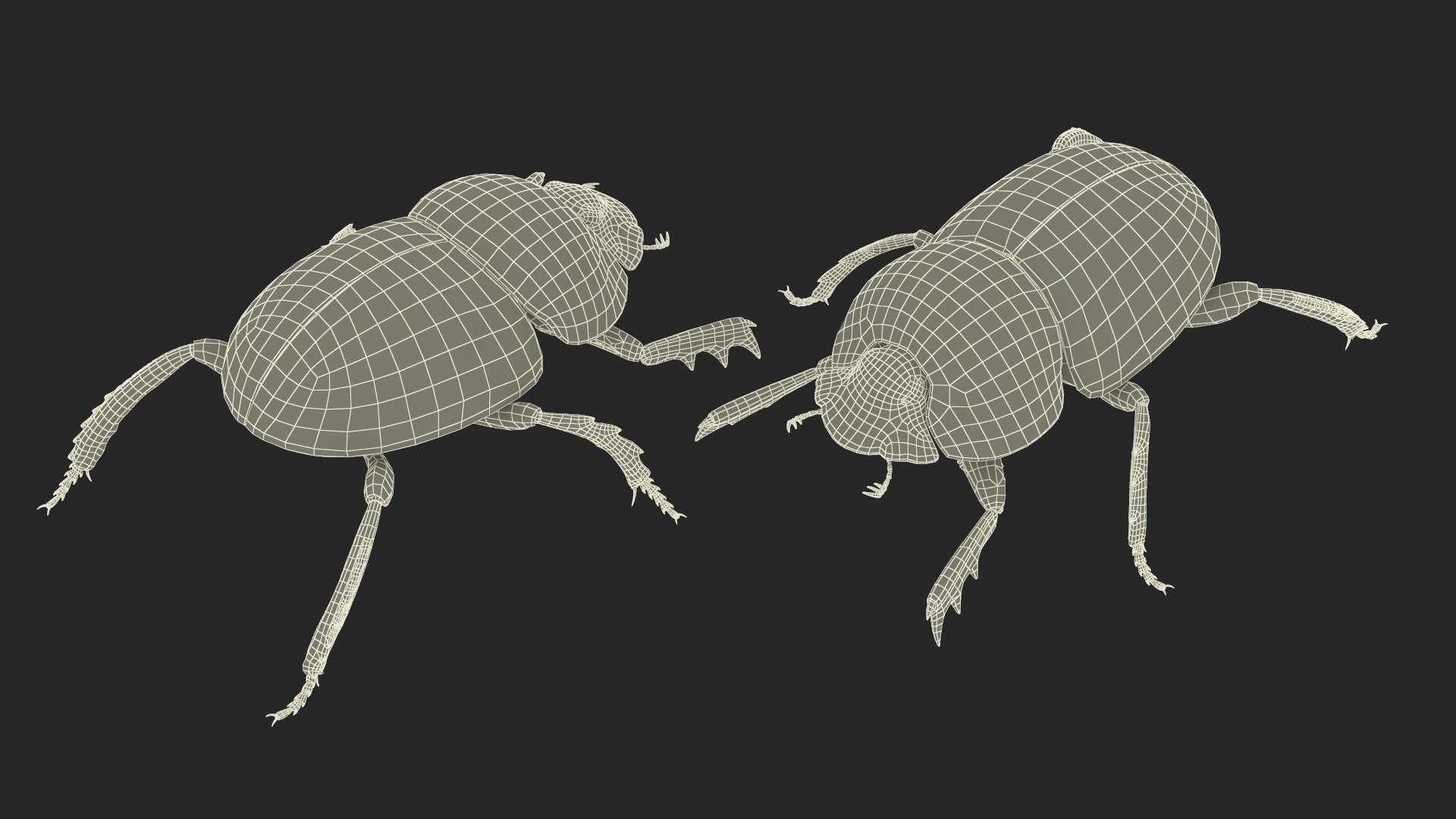 Dung Beetle Dirty Fur model https://p.turbosquid.com/ts-thumb/1q/cJUT70/2k/dungbeetledirtyfur3dmodel015/jpg/1729155342/1920x1080/fit_q87/dcece007b087cd053447dec63b70dca1b9774a28/dungbeetledirtyfur3dmodel015.jpg