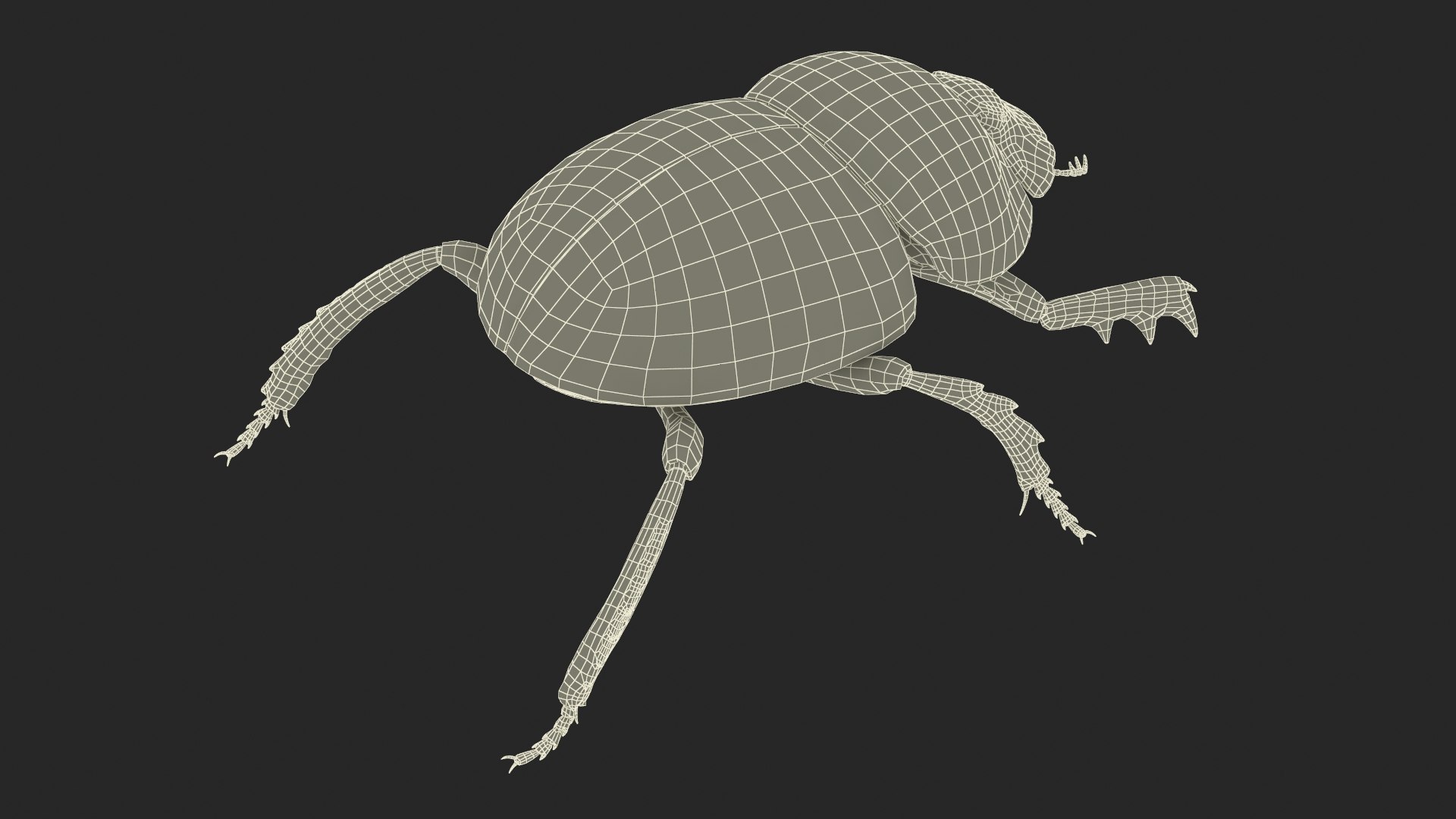 Dung Beetle Dirty Fur model https://p.turbosquid.com/ts-thumb/1q/cJUT70/az/dungbeetledirtyfur3dmodel018/jpg/1729155366/1920x1080/fit_q87/9e3af3437f5896cea3d99fca64b185e8654e275e/dungbeetledirtyfur3dmodel018.jpg