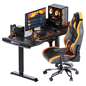 Gaming Setup