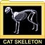 3d model cat skeleton