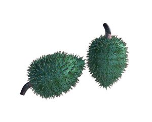 fruits 3D model