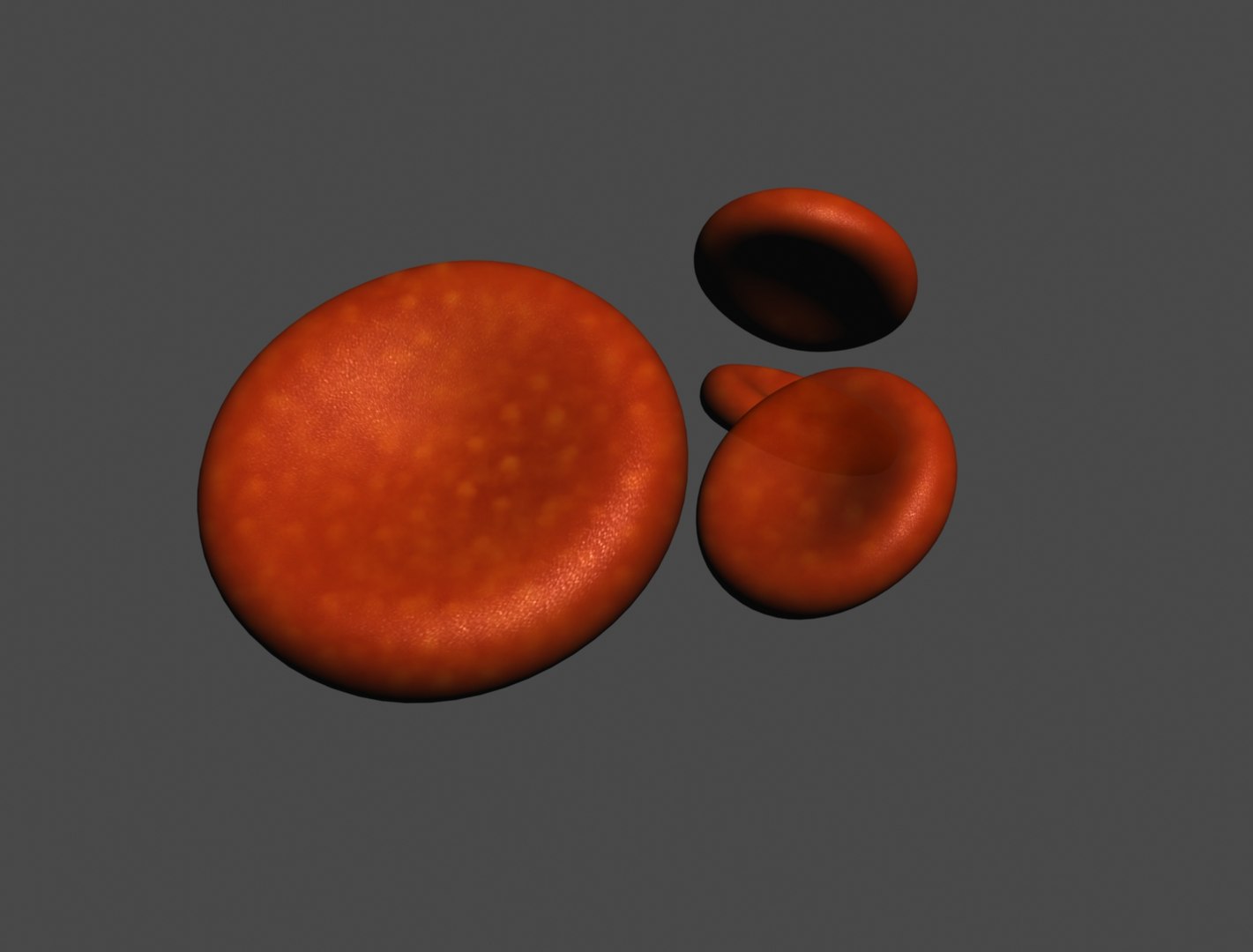 Red Blood Cells 3d Max