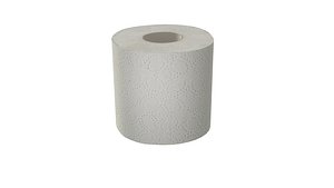 3D toilet paper model