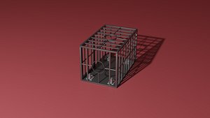 BDSM cage