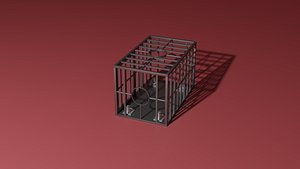 BDSM cage