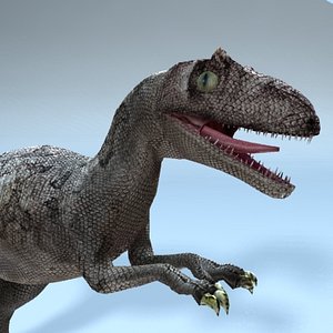allosaurus 3d model