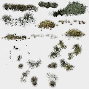 12 in 1 Bushes Collection 04 Plant groups - Game Assets - Low Poly