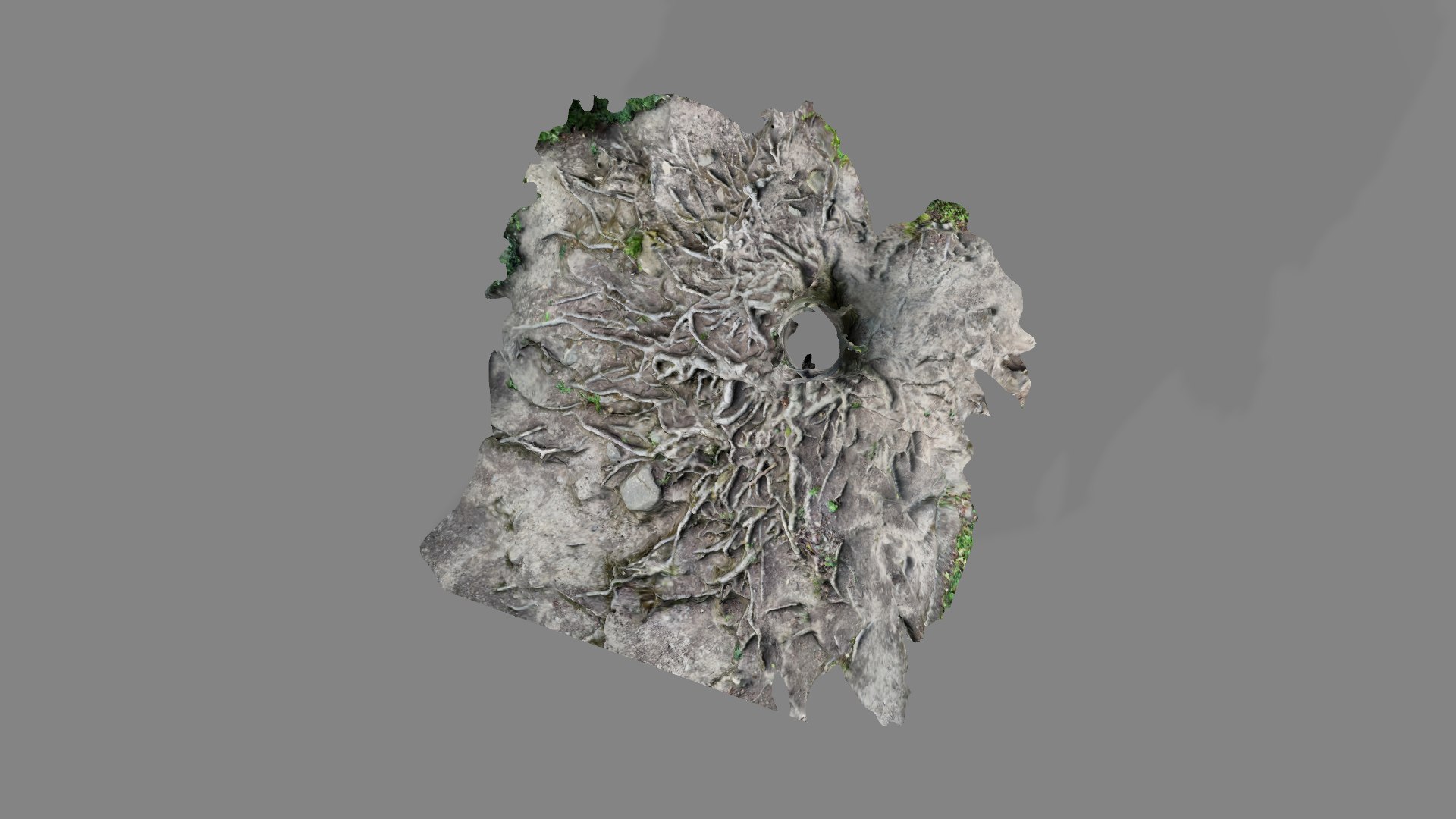 Tree trunk and roots on a hill scanned nature forest 3D https://p.turbosquid.com/ts-thumb/1r/HUbBMT/1R/poly/png/1667773394/1920x1080/fit_q87/3bcc276dcacbaa6e4ebaea9f0251be025de334f5/poly.jpg