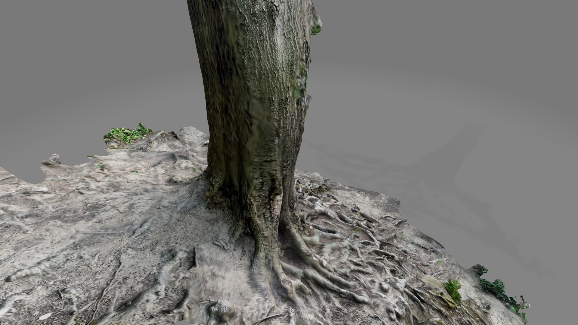 Tree trunk and roots on a hill scanned nature forest 3D https://p.turbosquid.com/ts-thumb/1r/HUbBMT/eC/treeroots4/png/1667773397/1920x1080/fit_q87/40baa5c290de84510305cb933f13da467d2d104d/treeroots4.jpg