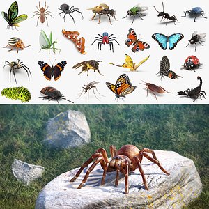 Insects Big 3D Models Collection 2