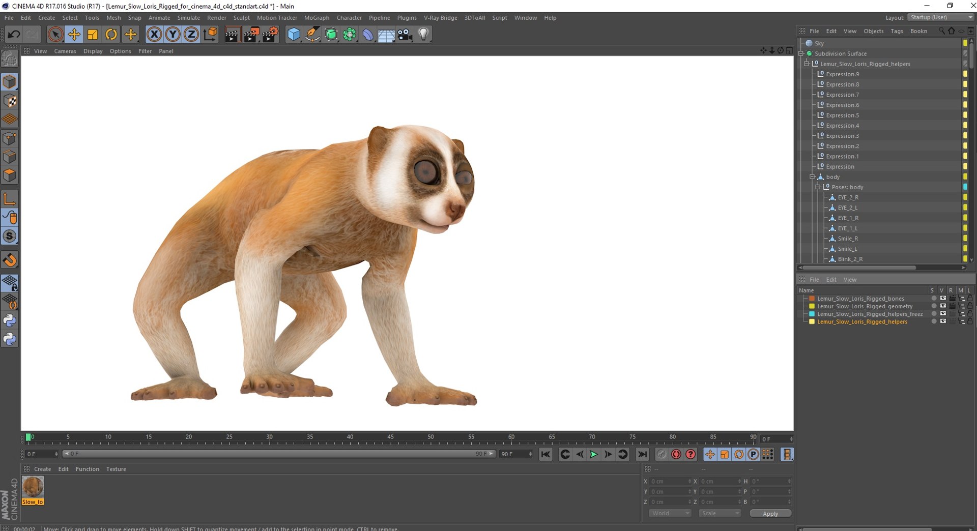 Lemur Slow Loris Rigged for Cinema 4D model https://p.turbosquid.com/ts-thumb/1r/NIfJi8/2Y/lemurslowlorisriggedforcinema4dc4dmodel049/jpg/1702528828/1920x1080/fit_q87/7f2c700316a584d1277f085214d935262aeb2e27/lemurslowlorisriggedforcinema4dc4dmodel049.jpg