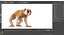 Lemur Slow Loris Rigged for Cinema 4D