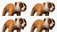 Lemur Slow Loris Rigged for Cinema 4D