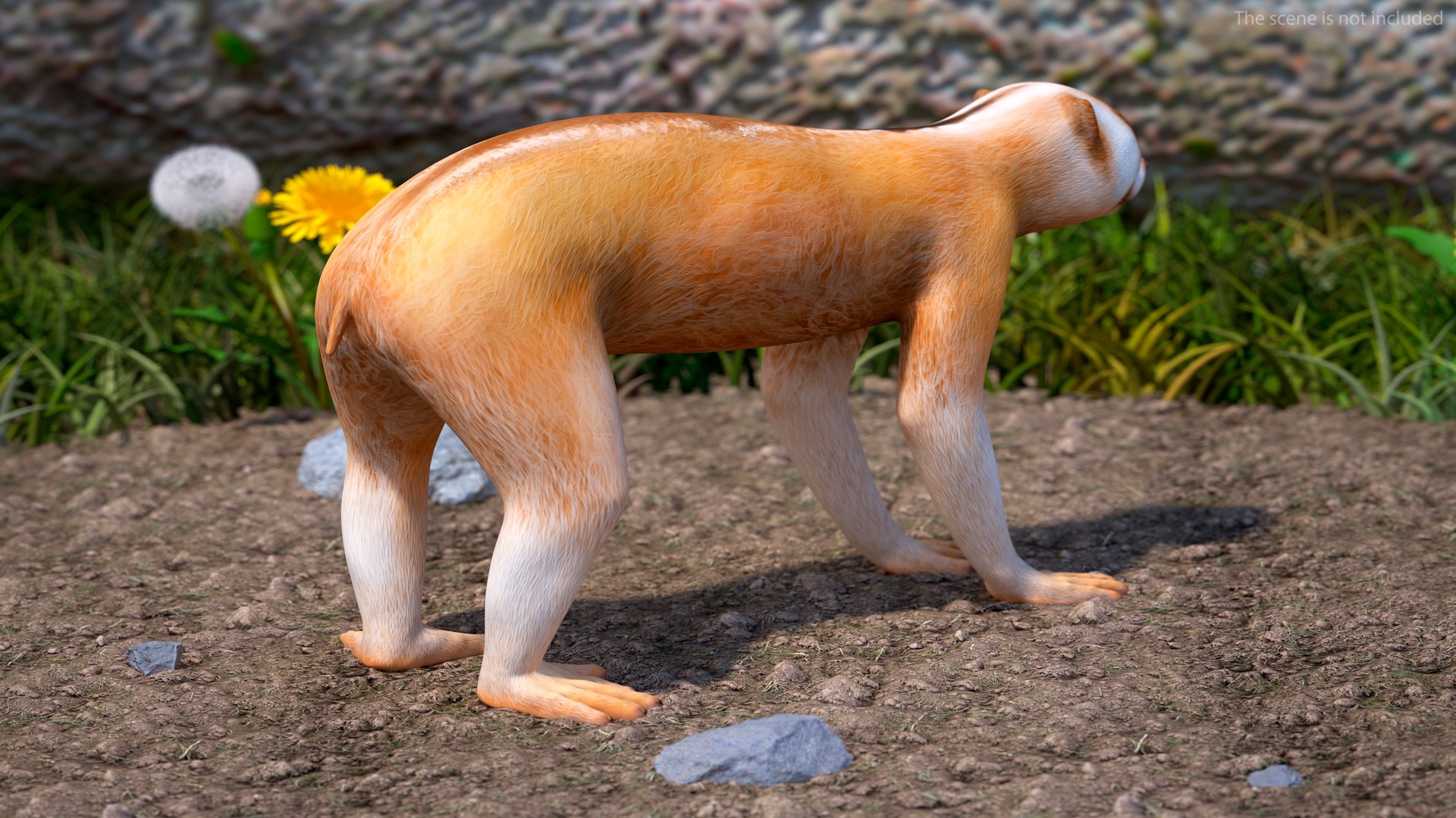 Lemur Slow Loris Rigged for Cinema 4D model https://p.turbosquid.com/ts-thumb/1r/NIfJi8/8Q/lemurslowlorisriggedforcinema4dc4dmodel004/jpg/1702528630/1920x1080/fit_q87/669367077e64d72571690a504c42c7cad927be0e/lemurslowlorisriggedforcinema4dc4dmodel004.jpg