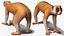 Lemur Slow Loris Rigged for Cinema 4D
