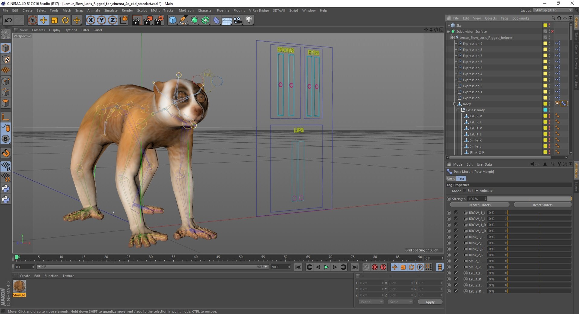 Lemur Slow Loris Rigged for Cinema 4D model https://p.turbosquid.com/ts-thumb/1r/NIfJi8/HA/lemurslowlorisriggedforcinema4dc4dmodel050/jpg/1702528832/1920x1080/fit_q87/aab19409170602472598a10881ebf0c77954c765/lemurslowlorisriggedforcinema4dc4dmodel050.jpg