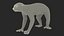 Lemur Slow Loris Rigged for Cinema 4D