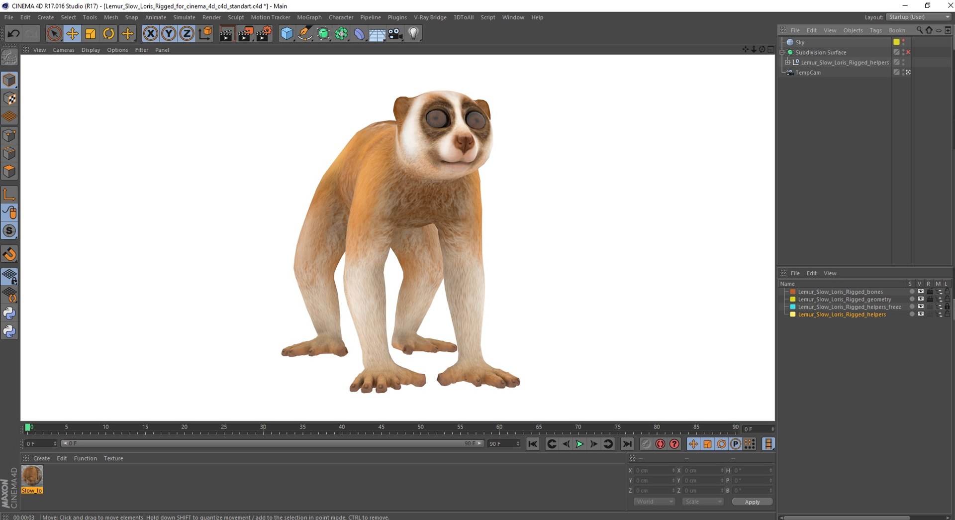 Lemur Slow Loris Rigged for Cinema 4D model https://p.turbosquid.com/ts-thumb/1r/NIfJi8/TF/lemurslowlorisriggedforcinema4dc4dmodel047/jpg/1702528819/1920x1080/fit_q87/6de9554164633cda1c4bf4035d6364c7ce911af0/lemurslowlorisriggedforcinema4dc4dmodel047.jpg