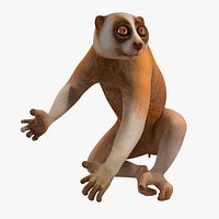 Lemur Slow Loris Rigged for Cinema 4D