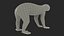 Lemur Slow Loris Rigged for Cinema 4D